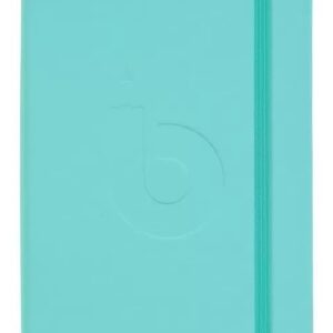 Bullet Jornal Bruynzeel X 80 H 13 X 21 Cm 140 Grs Aqua