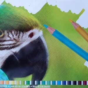 Lapices Colores Bruynzeel X 45 Unidades Papagayo