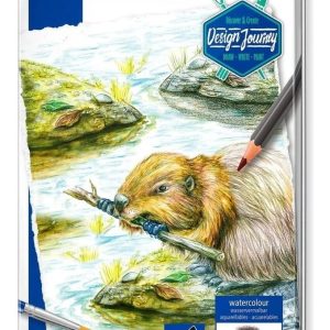 Lapices Staedtler Acuarelables Entintados X 12 Lata