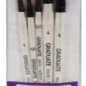 Pinceles Set Detail Daler Rowney X 5 Pelo Sintetico