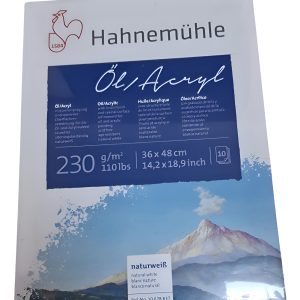 Bloc Hahnemuhle Oil Acrylic 36 X 48 Cm 10 Hojas 230 Grs