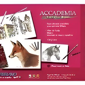 Fabriano Block Accademia 120 Grs 25 X 35 24 Hojas