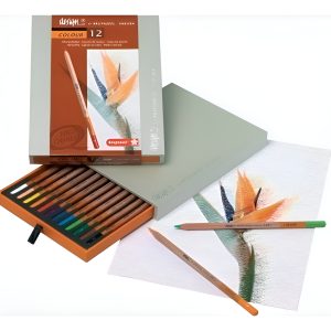 Lapices Colores Bruynzeel X 12 Caja De Madera