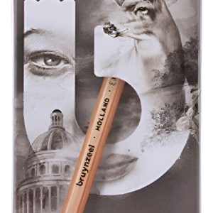 Lapices Bruynzeel Grafito X 6 Caja Lata