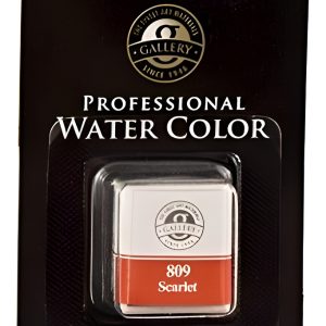 Pastilla Acuarela Mungyo Profesional X Unidad