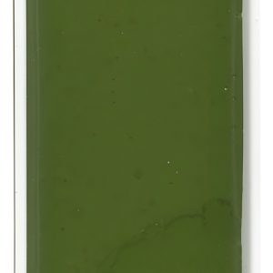 Acuarela Kuretake Gansai Tambi Pastilla X Unidad Color 54 Olive Green