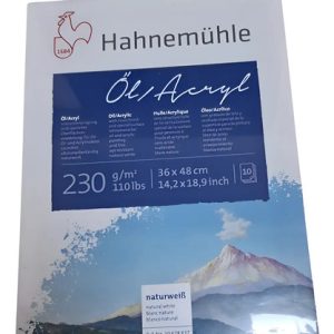 Bloc Hahnemuhle Oil Acrylic 36 X 48 Cm 10 Hojas 230 Grs