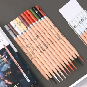 Lapices Charcoal Carbon Giorgione X 12 Colores