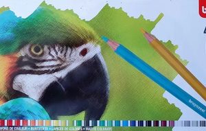 Lapices Colores Bruynzeel X 45 Unidades Papagayo
