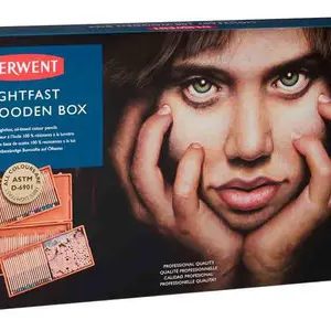 Lápiz De Color Derwent Lightfast 100 Colores Estuche De Madera