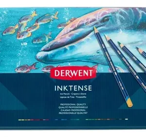 Lápices Acuarelables Derwent Inktense 36 Colores Solubles En Agua Multicolor