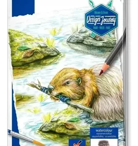 Lapices Staedtler Acuarelables Entintados X 12 Lata