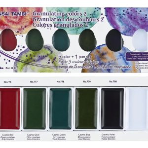 Acuarelas Colores Granulados 5 U Gansai Tambi Set Edicion Ii