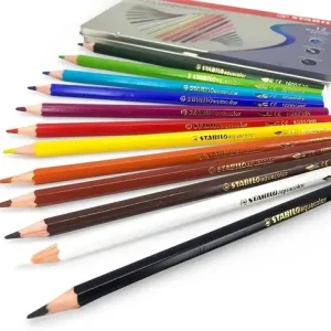 Lápices Acuarelables Stabilo Aquacolor Premium X 12 Colores Artistas
